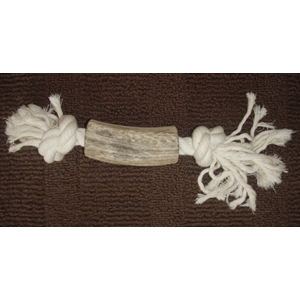 Elk Antler With Rope Elk antler, rope, elk antler with rope